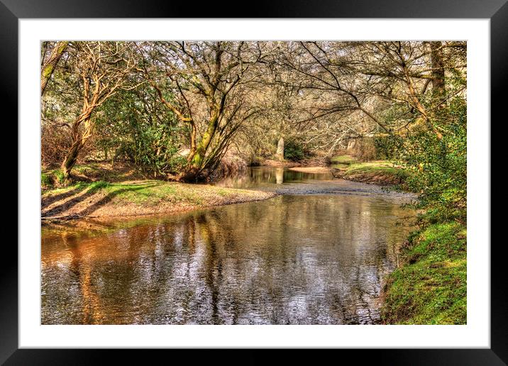 New Forest Waters Framed Mounted Print by Malcolm McHugh