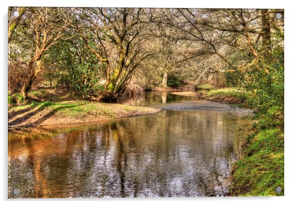 New Forest Waters Acrylic by Malcolm McHugh