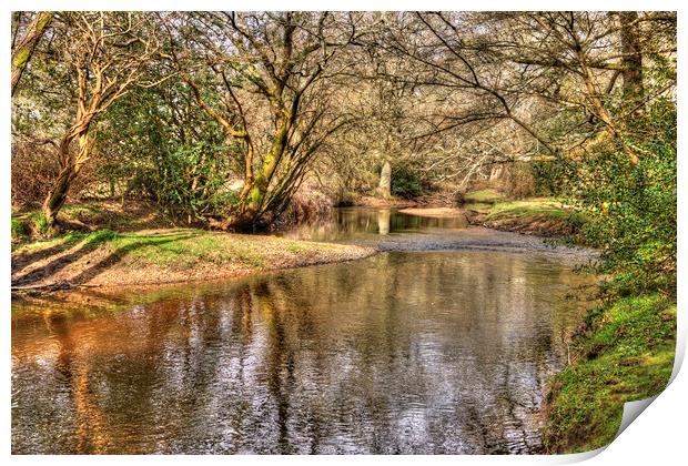 New Forest Waters Print by Malcolm McHugh