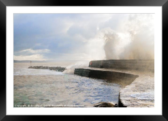 Winter Storms - Lyme Regis Framed Mounted Print by Susie Peek