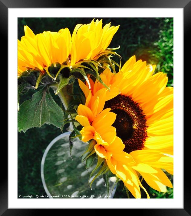 Sunflowers Framed Mounted Print by michelle rook