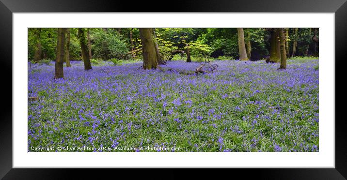 Bluebell Wood Framed Mounted Print by Clive Ashton