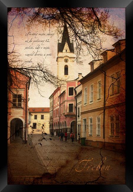 Street in Trebon city. Czechia. Framed Print by Sergey Fedoskin
