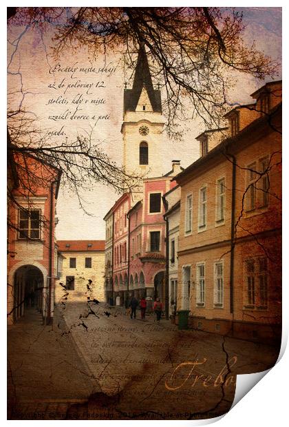 Street in Trebon city. Czechia. Print by Sergey Fedoskin