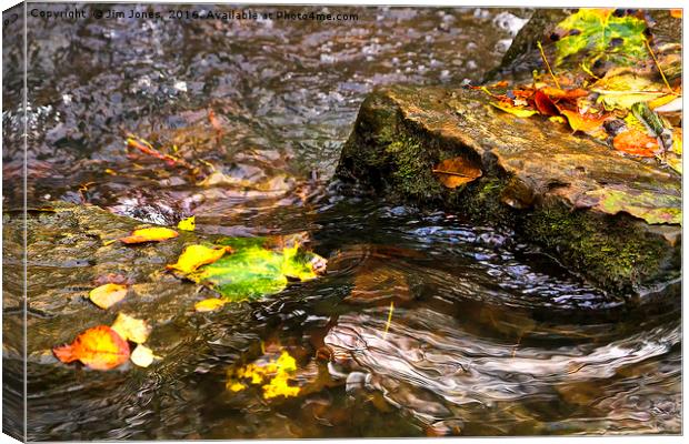 Clear water and autumn leaves Canvas Print by Jim Jones