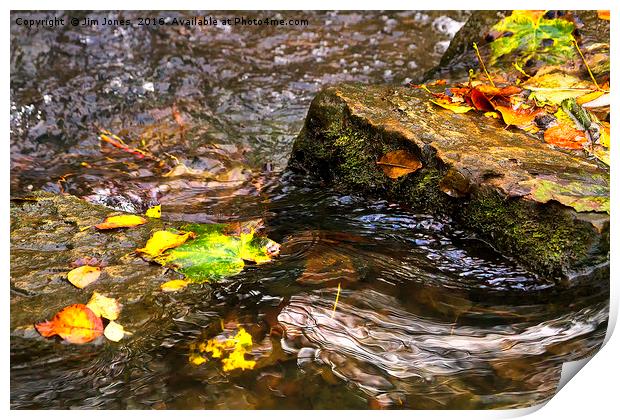 Clear water and autumn leaves Print by Jim Jones