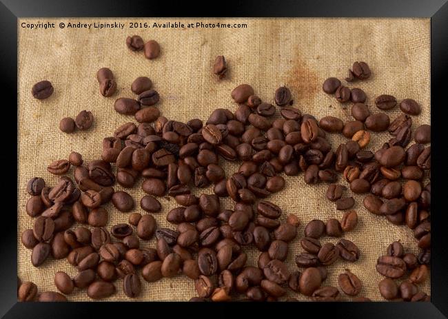 scattered coffee bean Framed Print by Andrey Lipinskiy