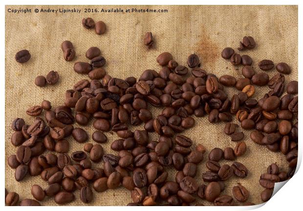 scattered coffee bean Print by Andrey Lipinskiy