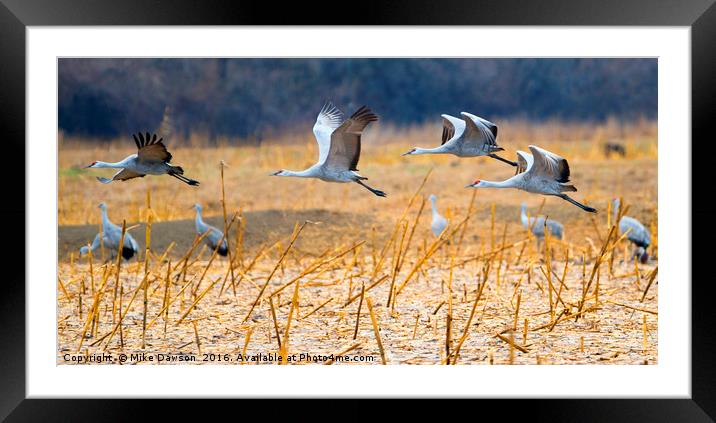 Low Level Flyby Framed Mounted Print by Mike Dawson