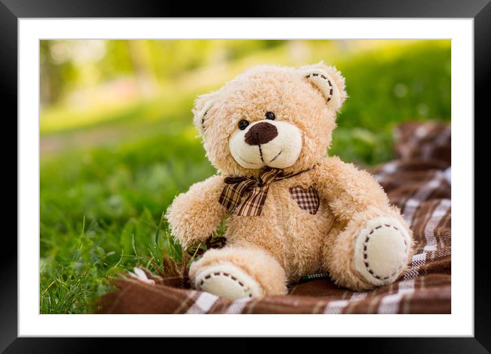teddy bear on the green grass Framed Mounted Print by Gaukhar Yerk
