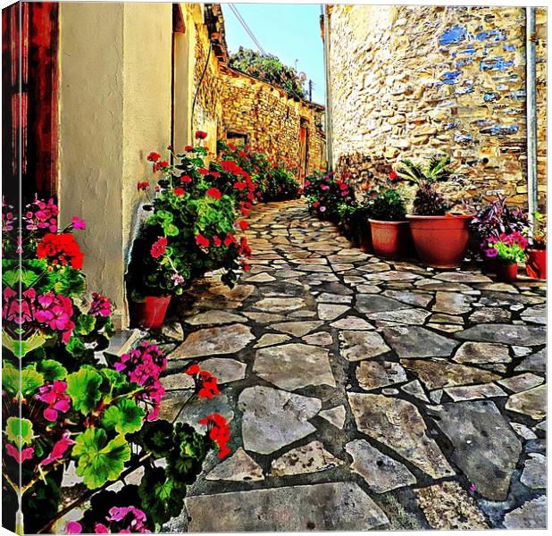 Lace Village Cyprus           Canvas Print by Andy Smith