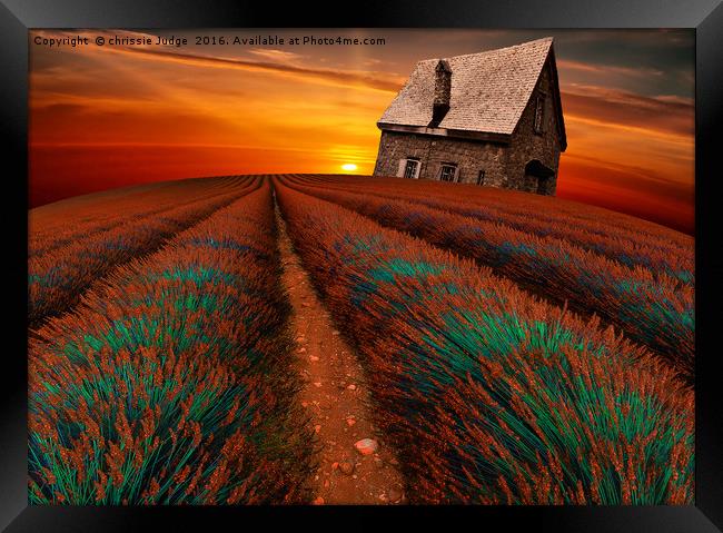 Nature always wears the colors of the spirit. Ralp Framed Print by Heaven's Gift xxx68
