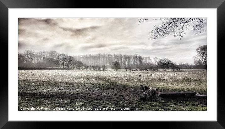 Morning fog in Kent  Framed Mounted Print by Framemeplease UK