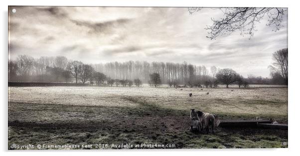 Morning fog in Kent  Acrylic by Framemeplease UK