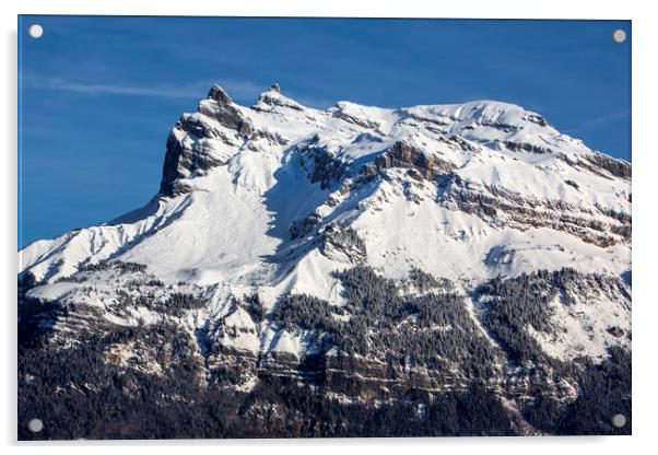 French Alps Acrylic by David Hare