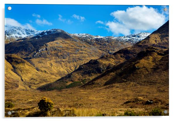 Scottish Views Acrylic by David Hare
