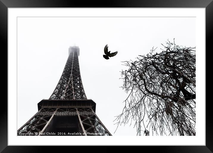 Eiffel Bird Framed Mounted Print by Paul Childs