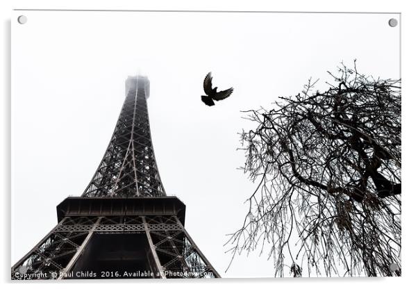 Eiffel Bird Acrylic by Paul Childs