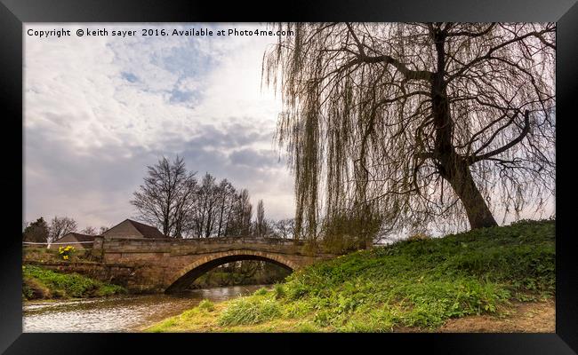 Weeping Willow Framed Print by keith sayer