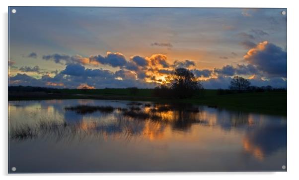 Sunrise over flooded fields Acrylic by Stephen Prosser