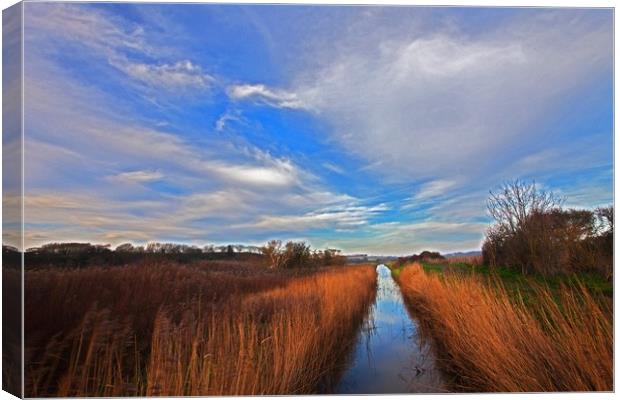 Winter on the marshes Canvas Print by Stephen Prosser