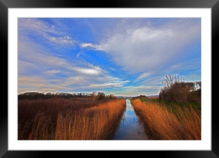 Winter on the marshes Framed Mounted Print by Stephen Prosser