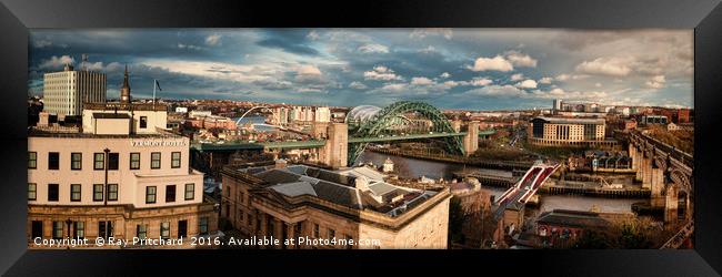 View from Newcastle Castle Framed Print by Ray Pritchard