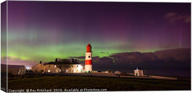 Aurora Borealis at Souter Lighthouse Canvas Print by Ray Pritchard