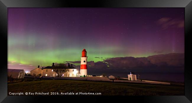Aurora Borealis at Souter Lighthouse Framed Print by Ray Pritchard