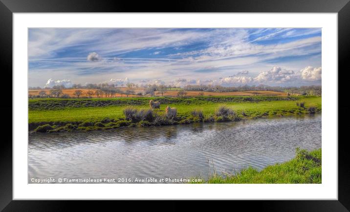 Double Trouble in the field  Framed Mounted Print by Framemeplease UK