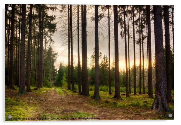 Evening in Sumava forest.  Acrylic by Sergey Fedoskin