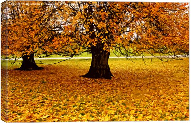 The Tree In Autumn Canvas Print by Omran Husain