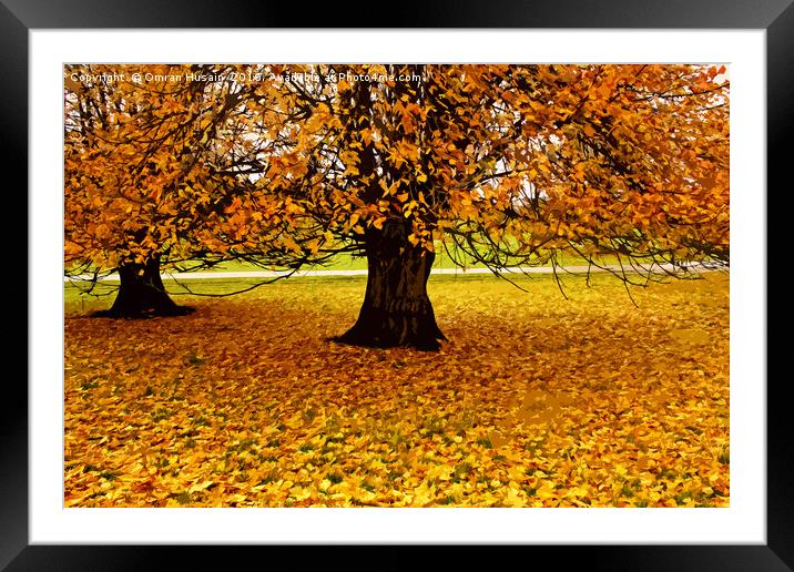 The Tree In Autumn Framed Mounted Print by Omran Husain