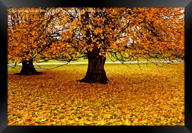 The Tree In Autumn Framed Print by Omran Husain