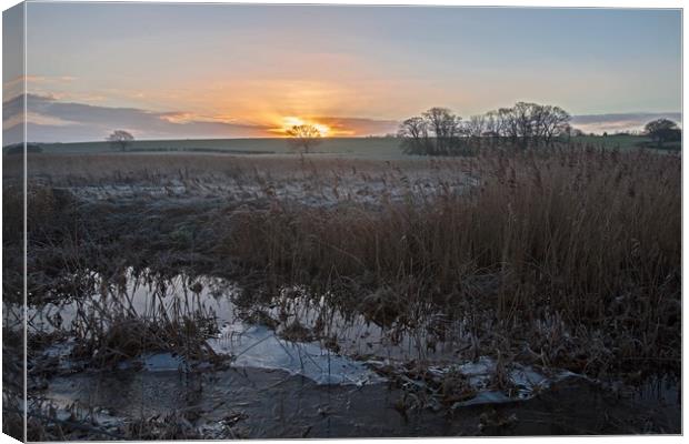 Frosty morning Canvas Print by Stephen Prosser