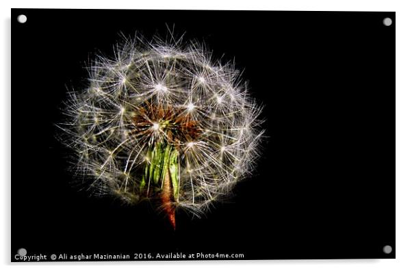 A macro shot of a dandelion, Acrylic by Ali asghar Mazinanian