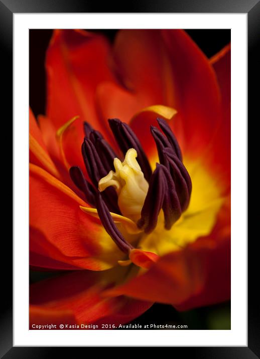 I'm on Fire - Tulip Framed Mounted Print by Kasia Design