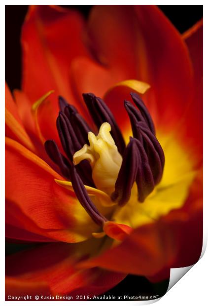 I'm on Fire - Tulip Print by Kasia Design