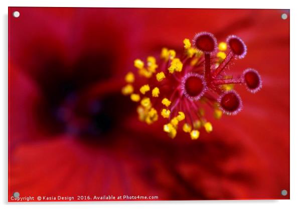 I'm on Fire - Hibiscus Acrylic by Kasia Design