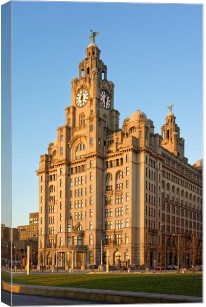 Royal Liver Building at Sunset                     Canvas Print by Darren Galpin