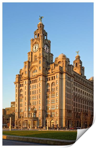 Royal Liver Building at Sunset                     Print by Darren Galpin