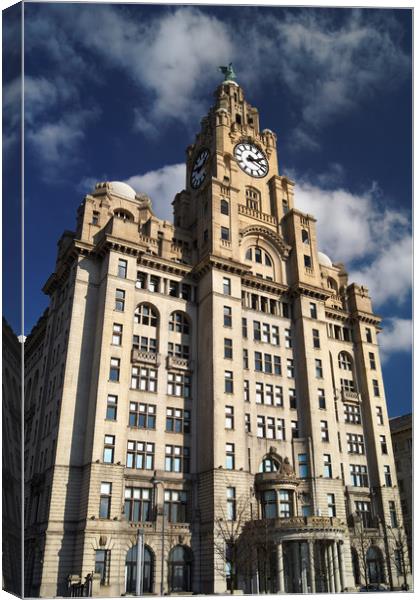 Royal Liver Building                       Canvas Print by Darren Galpin