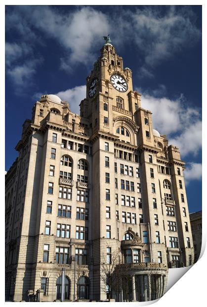 Royal Liver Building                       Print by Darren Galpin