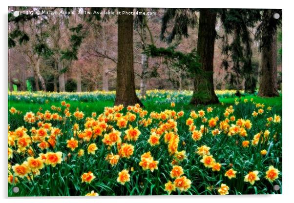 Daffodil Wood Acrylic by Martyn Arnold