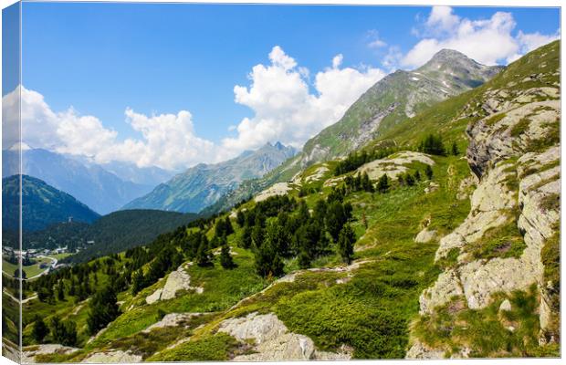Summer in the Swiss Alps Canvas Print by Sergey Fedoskin