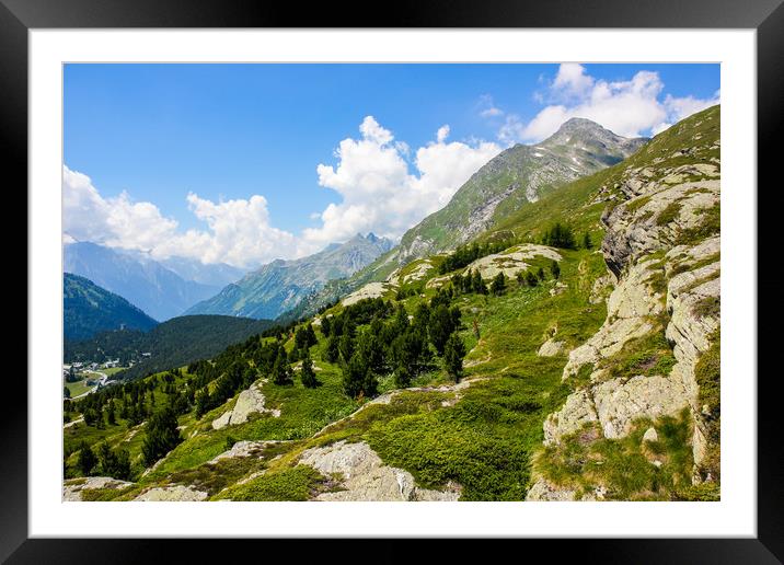 Summer in the Swiss Alps Framed Mounted Print by Sergey Fedoskin