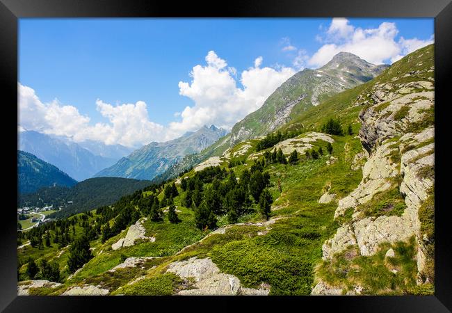 Summer in the Swiss Alps Framed Print by Sergey Fedoskin