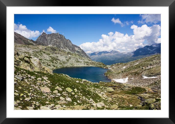 Summer in the Swiss Alps Framed Mounted Print by Sergey Fedoskin