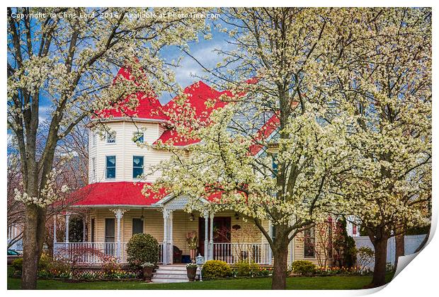 Springtime At The House On The Corner Print by Chris Lord