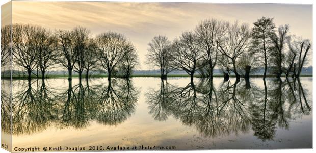 Tree Reflections Canvas Print by Keith Douglas